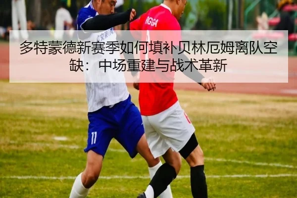 多特蒙德新赛季如何填补贝林厄姆离队空缺：中场重建与战术革新